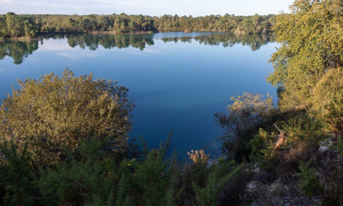 Réserve naturelle nationale d'Arjuzanx Illustration 0