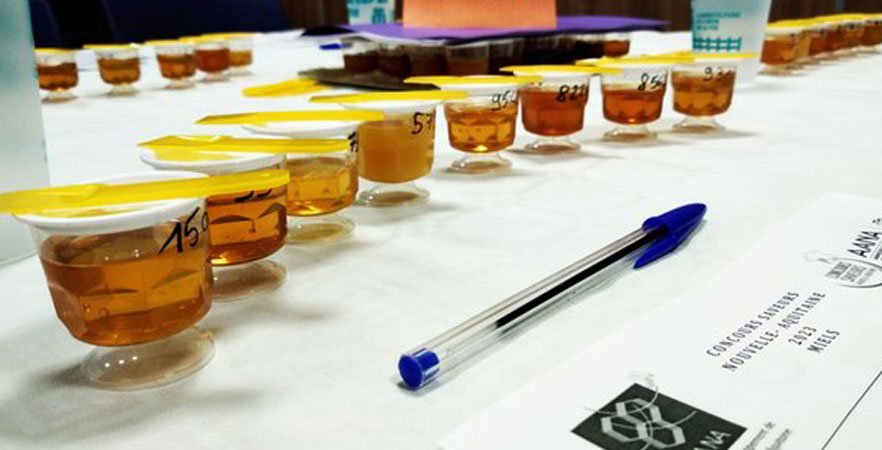Les meilleurs miels de la récolte 2023 récompensés au concours régional !
