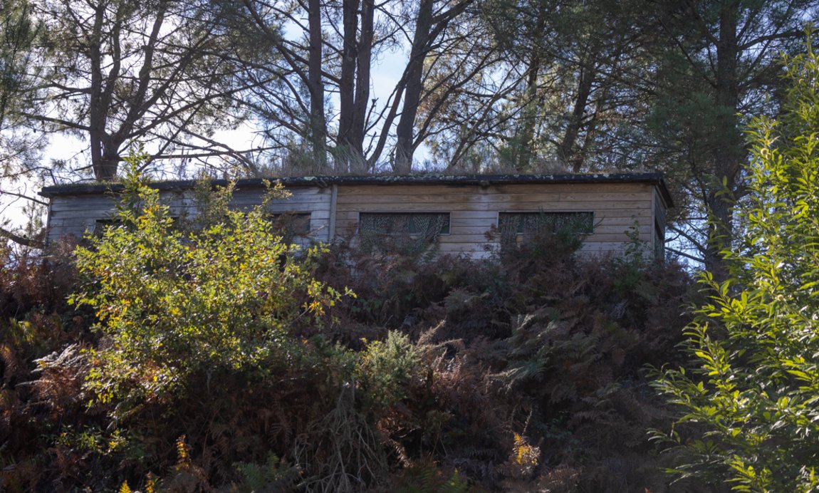 Réserve naturelle nationale d'Arjuzanx Illustration 16