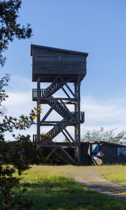 Réserve naturelle nationale d'Arjuzanx Illustration 6