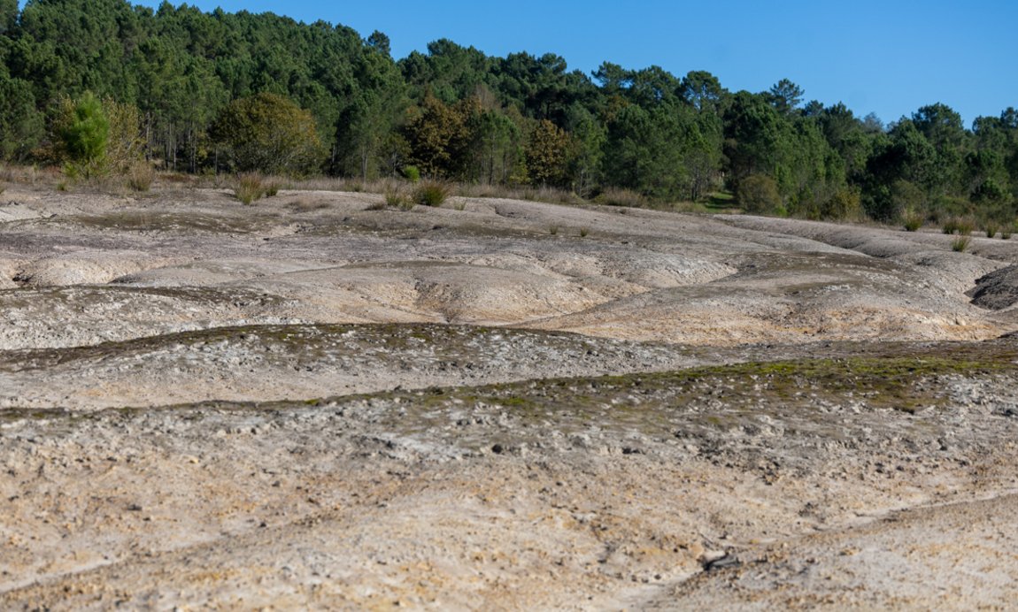Réserve naturelle nationale d'Arjuzanx Illustration 11
