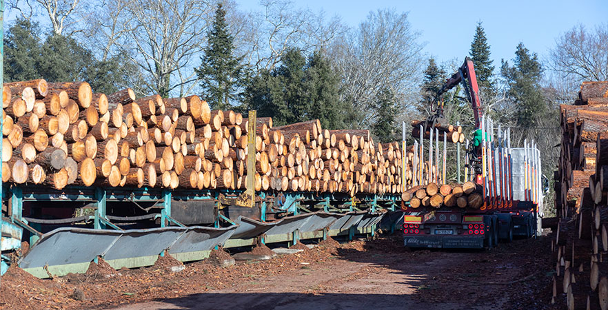 La filière Forêt-bois dans les Landes